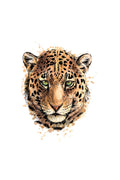Genç Odası – Leopar Portre Desenli Modern Zebra Perde – YZN-491