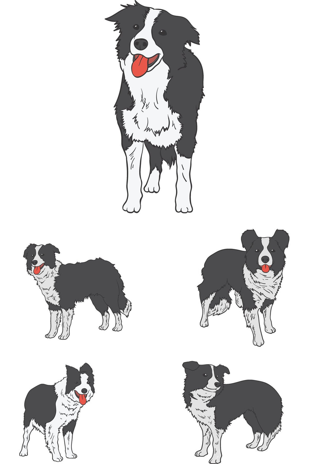 Border Collie Köpek Çizimli Zebra Perde – la-203