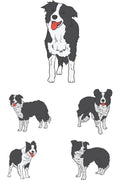 Border Collie Köpek Çizimli Zebra Perde – la-203