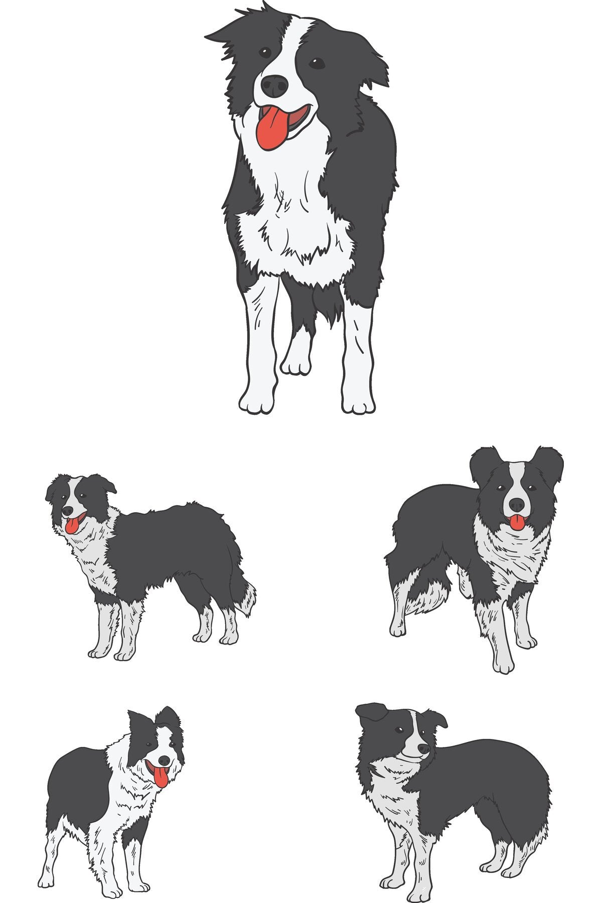 Border Collie Köpek Çizimli Zebra Perde – la-203