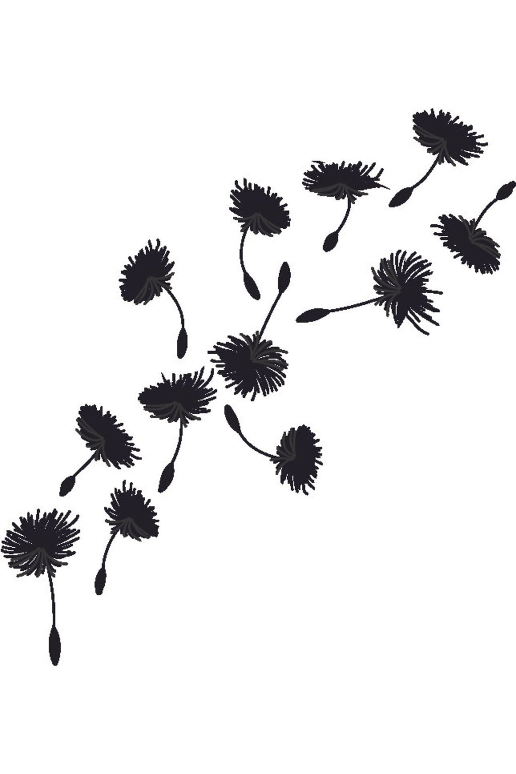 Siyah Karahindiba Çiçeği Esinti Desenli Zebra Perde – dandelion