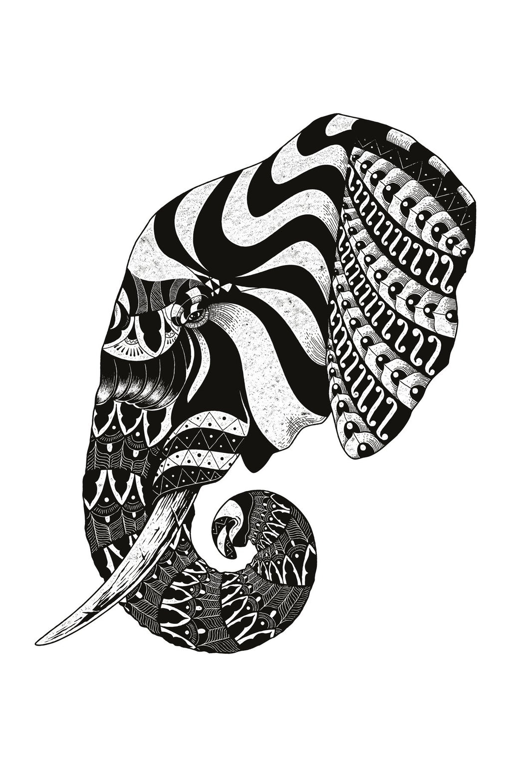 Siyah Beyaz FİL ve Spiralli Desenli Zebra Perde – YZN-288