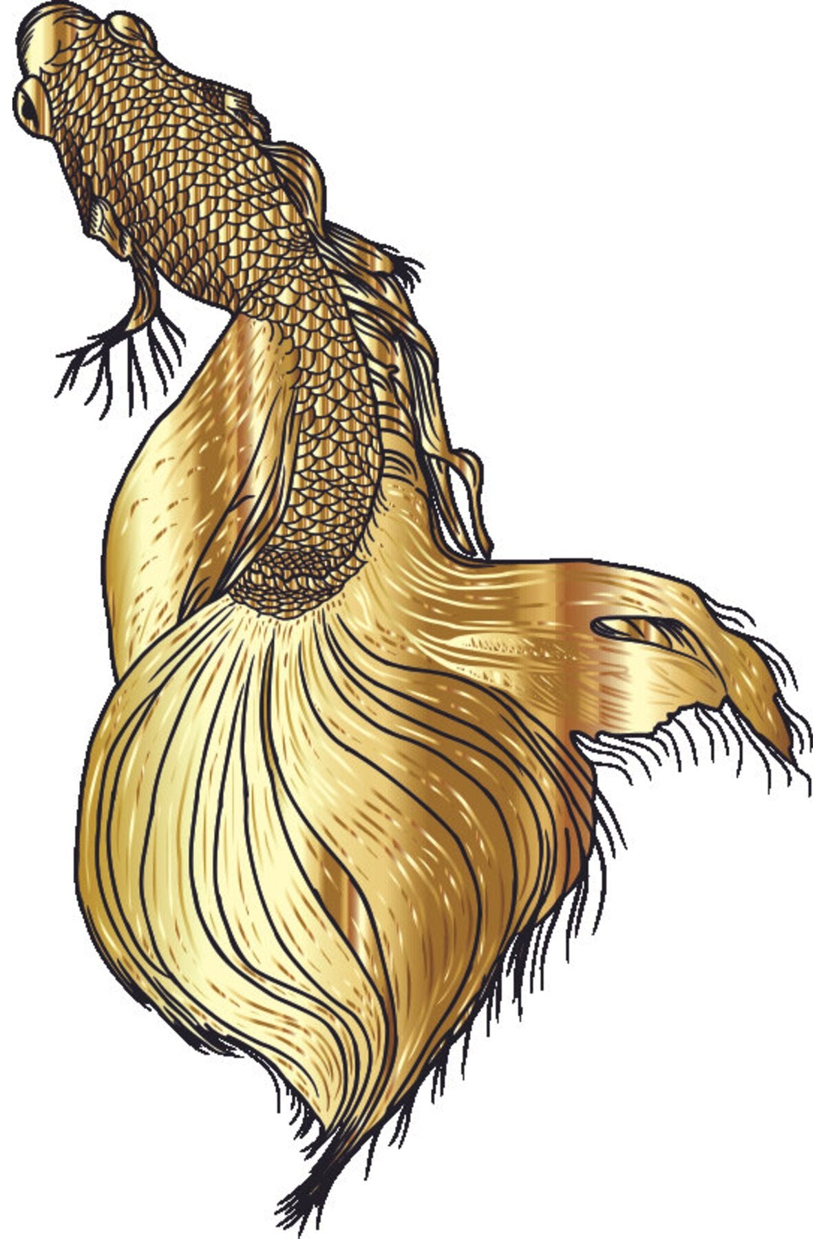 Altın Renkli Balık İllüstrasyon Desenli Zebra Perde – goldfish